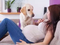 广州代妈怀孕后这5种家务活打死也不能做