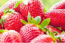 广州代妈想要抗衰老吃什么食物