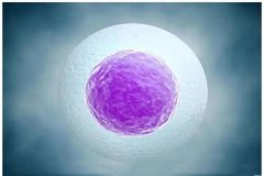 卵巢储备功能差，做试管成功的几率还大