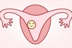 做试管助孕要注意的几点