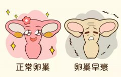 卵巢早衰怎么治疗可以恢复卵巢功能？